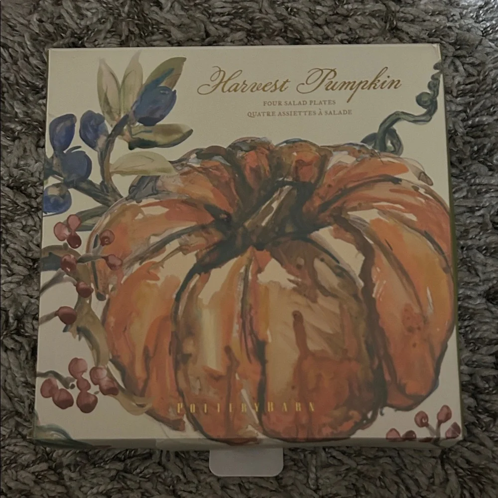 Williams Sonoma Autumn Pumpkin 3 Salad Plates